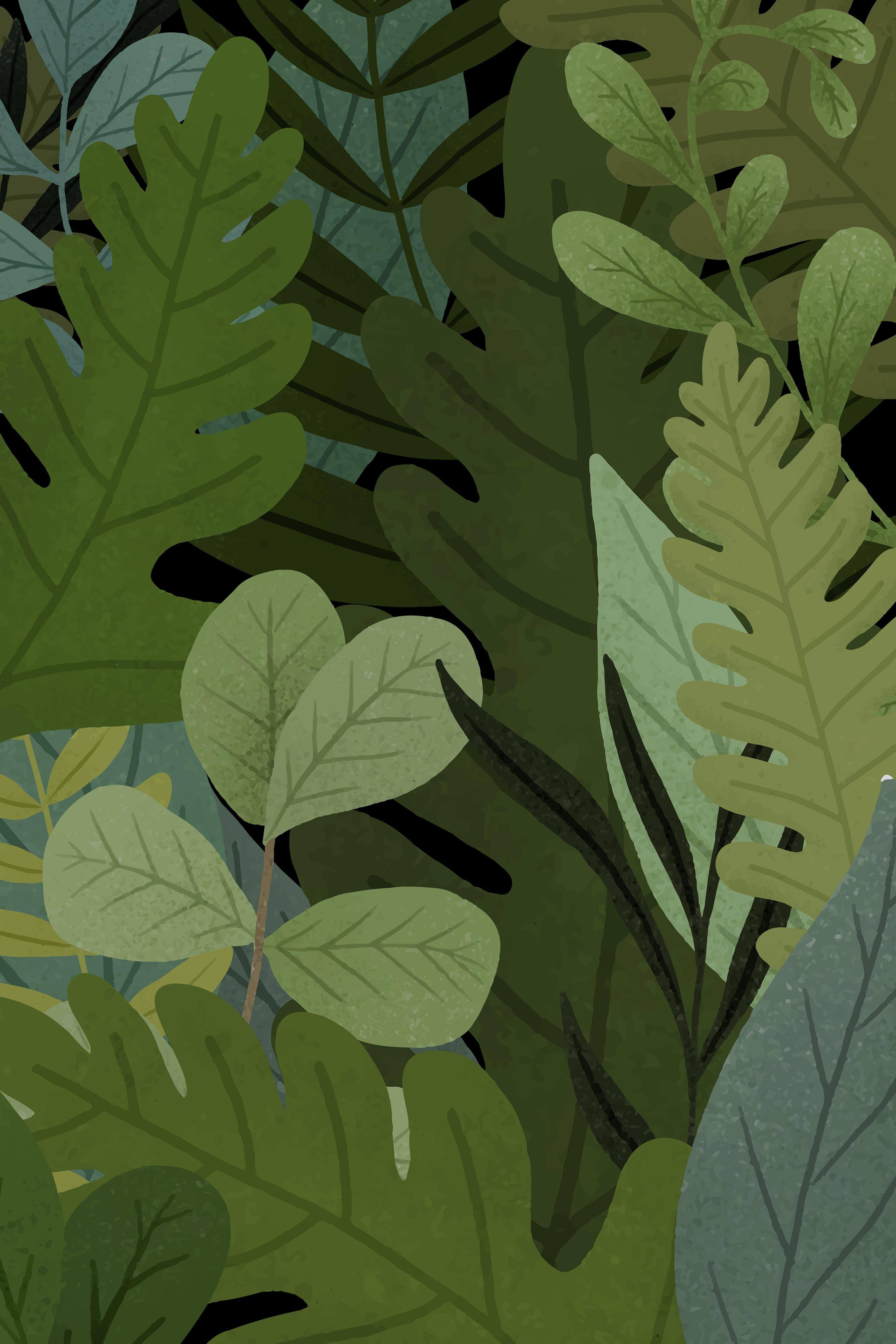 leaf background